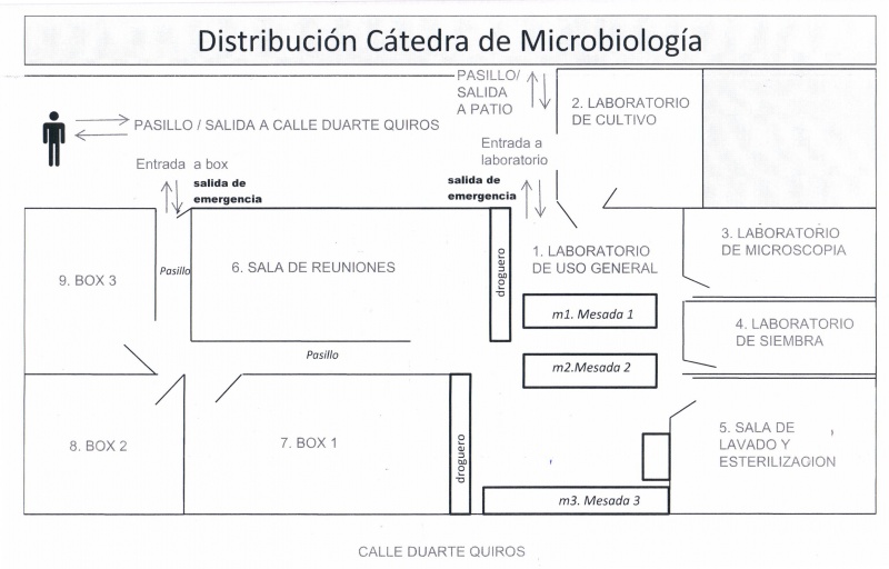 Microbiologia.jpg